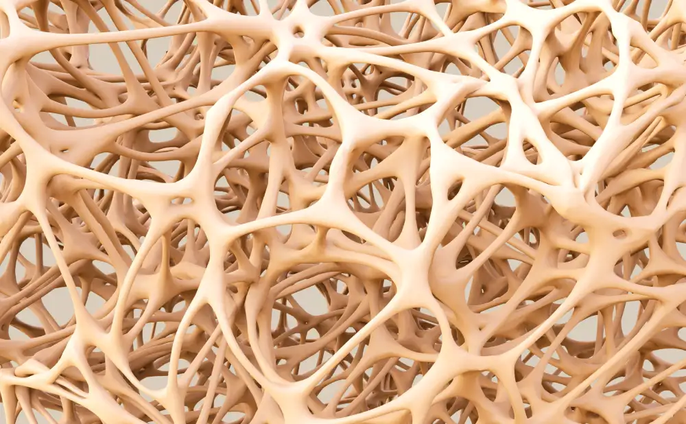Biološki aktivan keramički materijal može se transformisati u novo koštano tkivo kod pacijenata sa osteoporozom
