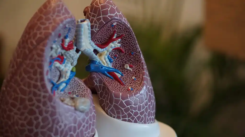 Studija raka pluća nudi dodatne dokaze o važnosti skrininga