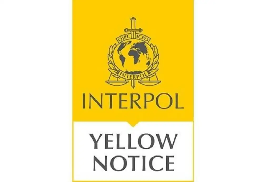 Interpol raspisao žutu poternicu za nestalom devojčicom Dankom Ilić