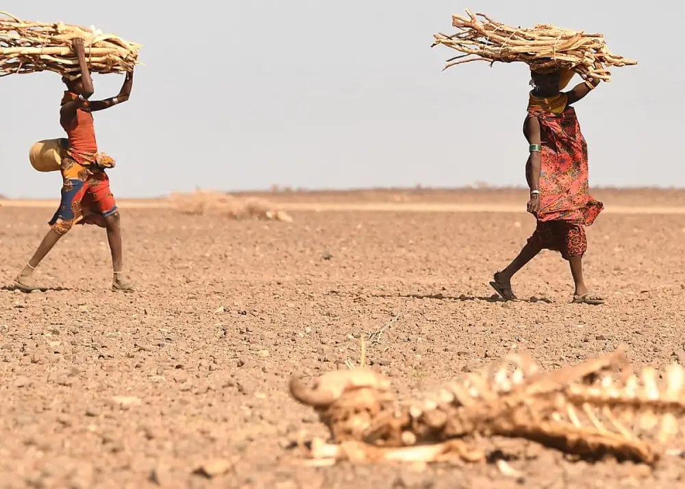 UN traže 430 miliona dolara za Zimbabve pogođen sušom: Milionima ljudi treba hrana i voda