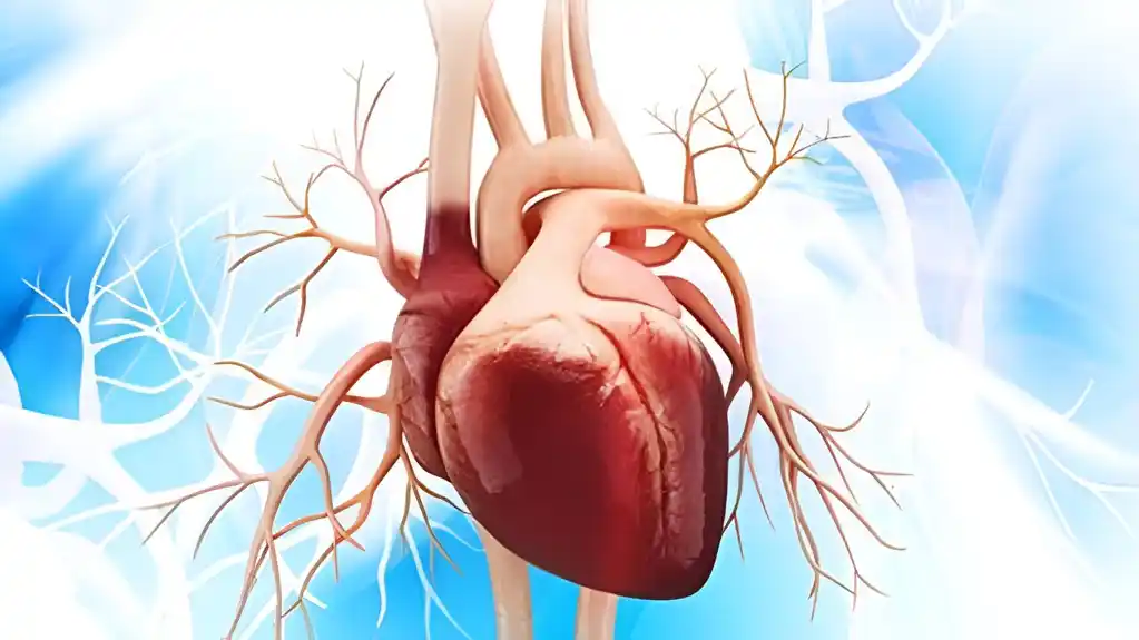 Snimanje kalcifikacije abdominalne aorte može poboljšati ishranu i fizičku aktivnost kod starijih osoba