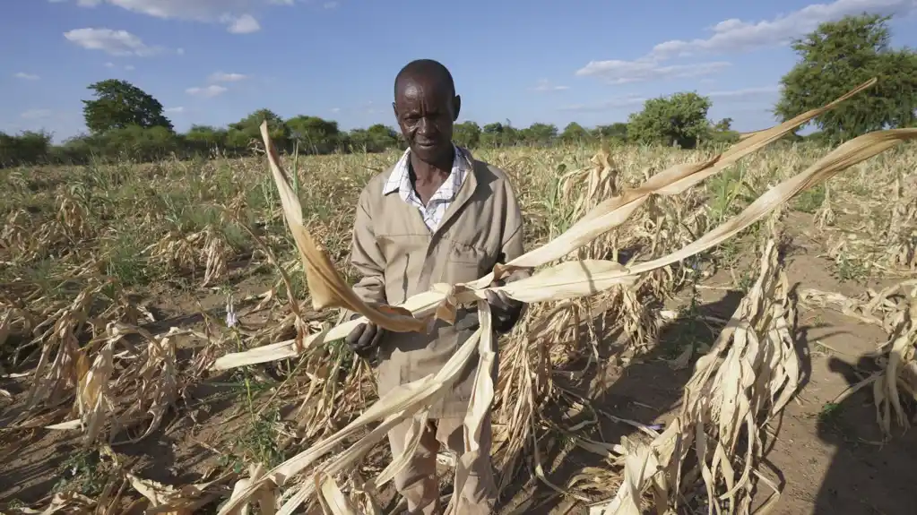 Poljoprivrednici u Africi spajaju tradiciju i tehnologiju u borbi protiv klimatskih promena