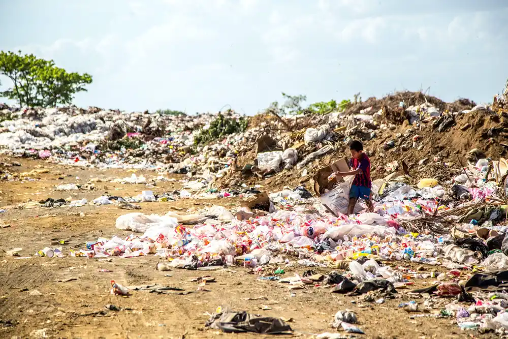 Trend plastike: Kako proizvodnja plastike povećava globalno zagađenje