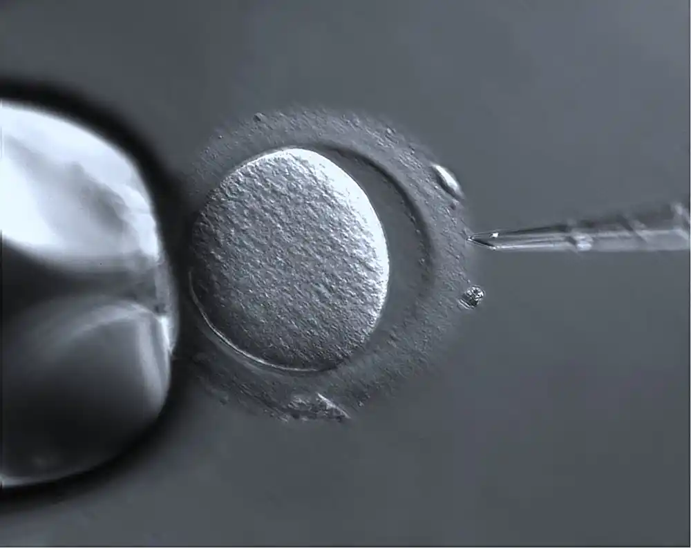 Analiza uticaja agenasa koji indukuju ovulaciju na kvalitet embriona