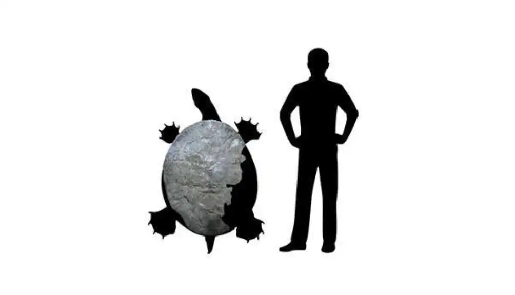 Fosili drevnih džinovskih kornjača pronađeni u kolumbijskim Andima