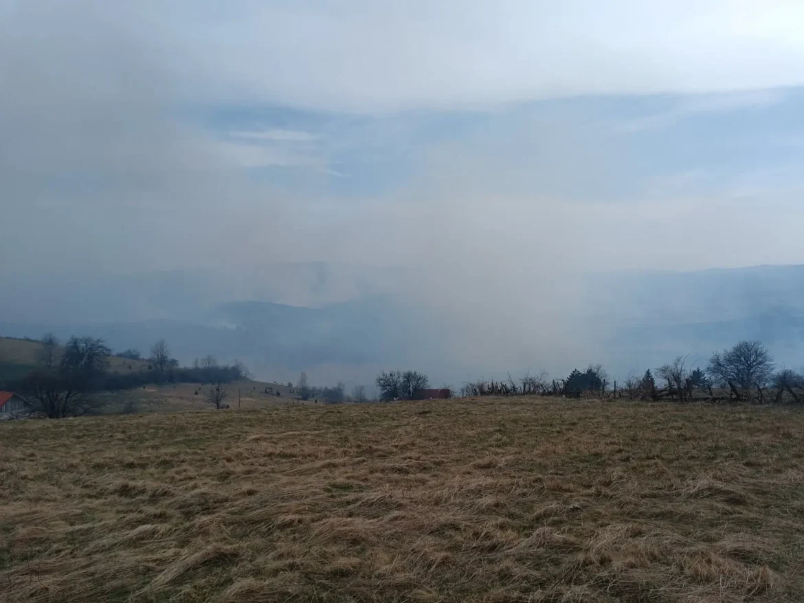 Gori nisko rastinje u Babinama kod Prijepolja: Požar se širi ka kućama