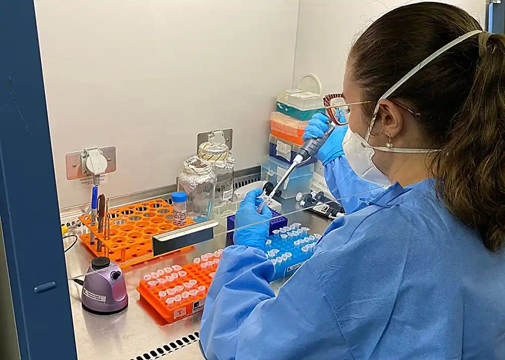 DNK vakcina protiv Zika virusa daje dobre rezultate u testovima na miševima