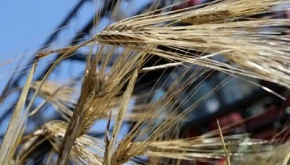 EU pristala da ograniči uvoz ukrajinskih poljoprivrednih proizvoda