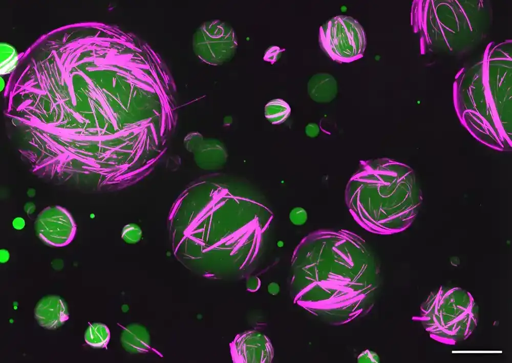 Istraživači stvaraju veštačke ćelije koje deluju kao žive ćelije