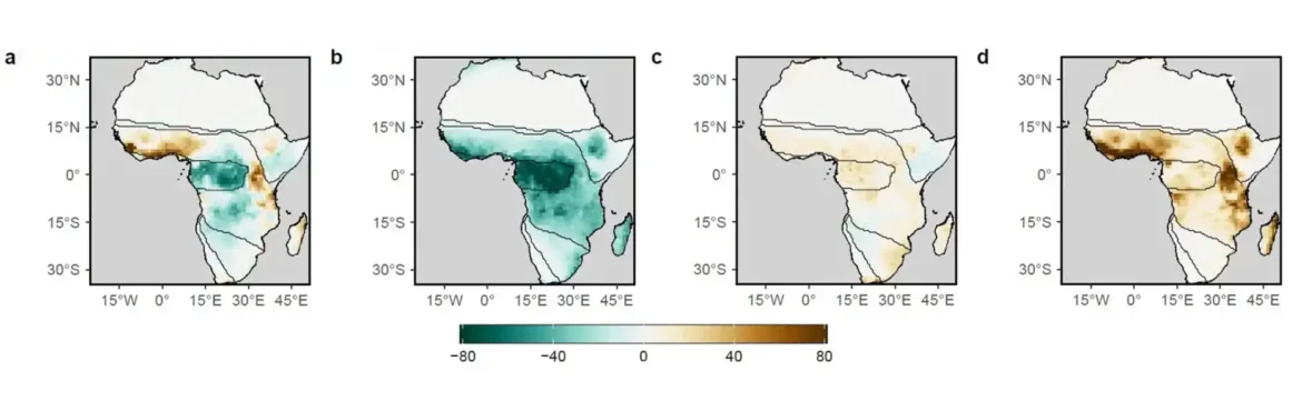 Kapacitet ponora ugljenika u Africi se smanjuje