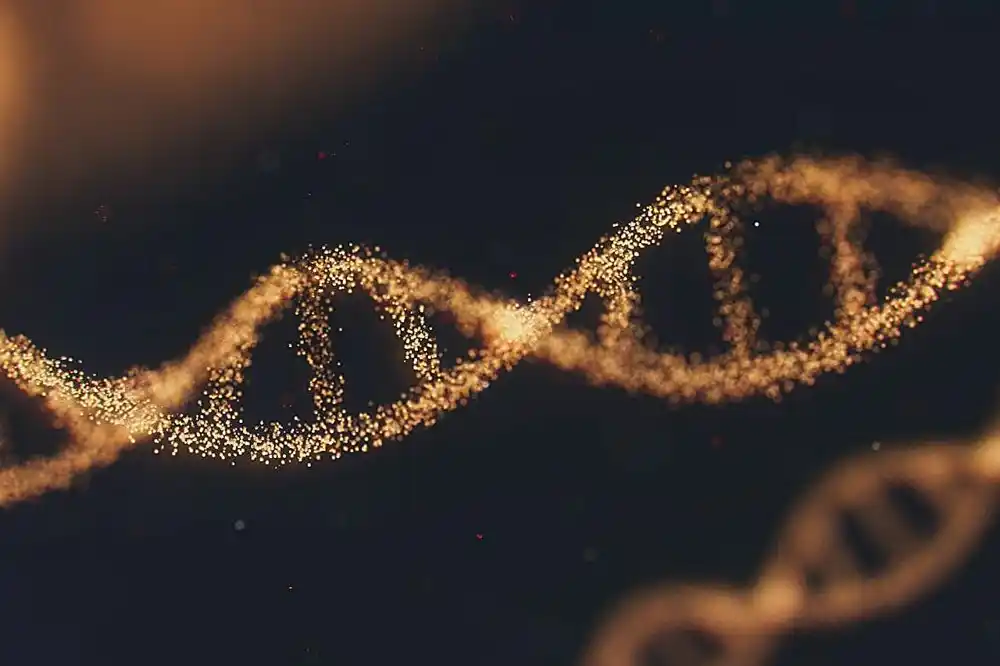 Naučnici razvijaju novu metodu za usklađivanje gena sa njihovim molekularnim ‘prekidačem’