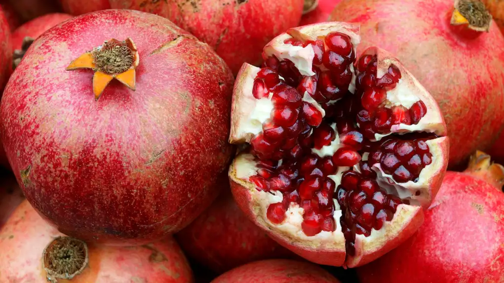 Istraživanje antimikrobnih svojstava ekstrakta kore nara: Multivarijantni pristup za skrining sorti voća