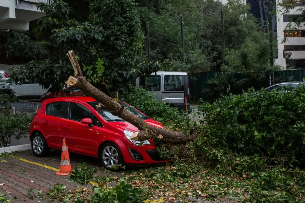 Nevreme stiglo u Hrvatsku, u Zagrebu vetar oborio drveće