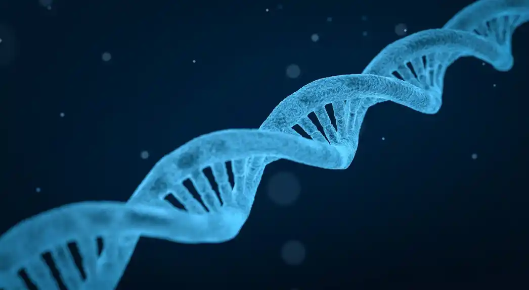 Nova studija po prvi put mapira grupu retkih genetskih bolesti