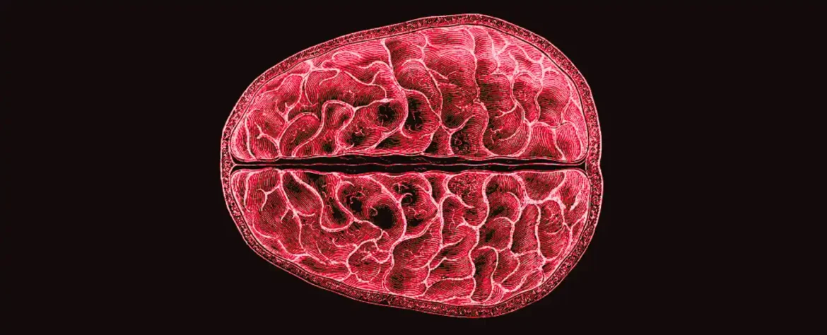 Po prvi put, naučnici su pokazali strukturne promene u mozgu tokom menstruacije
