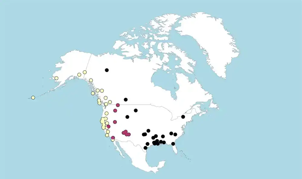 Prvi jezici Severne Amerike potiču iz dve veoma različite jezičke grupe iz Sibira