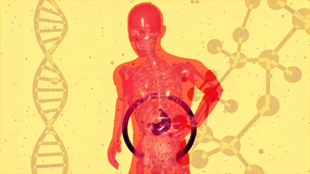 Rak jetre: dekodiran molekularni signalni put razvoja tumora