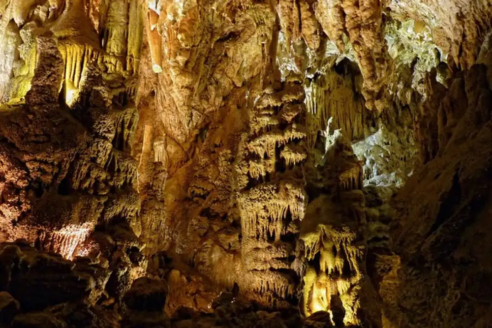 Naučnici pronašli više od 100 vrsta životinja u Resavskoj pećini