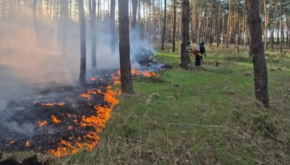 Rusko granatiranje izazvalo je šumske požare u oblasti Harkova