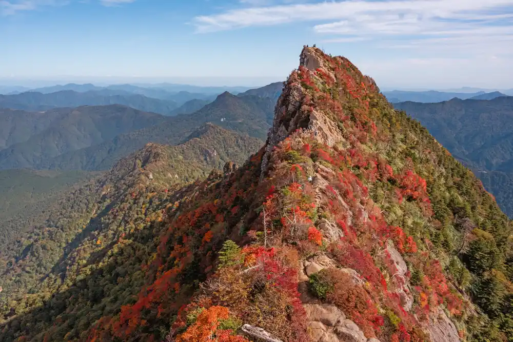 Studija otkriva da 17 planina ima visok rizik od gubitka biodiverziteta usled klimatskih promena