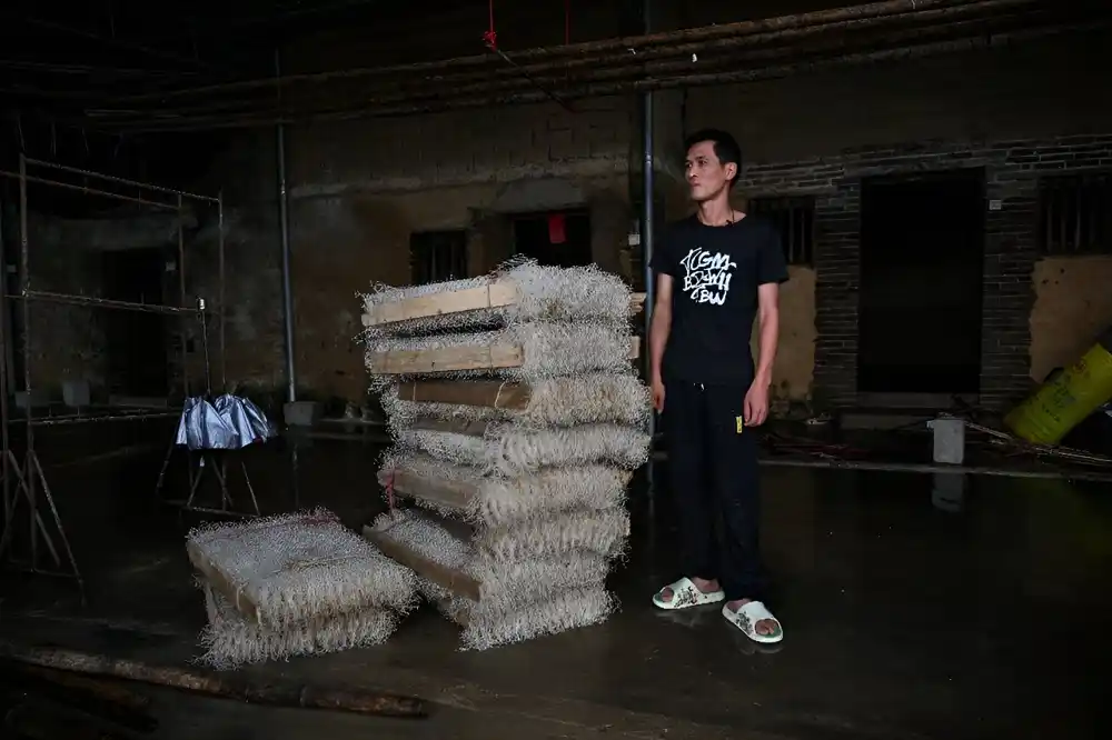 Poplave u južnoj Kini donose gubitke uzgajivačima svilenih buba