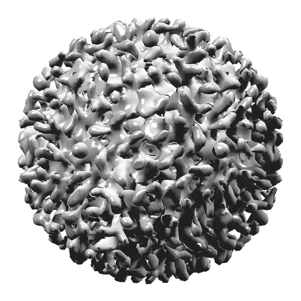 SZO: Virusi hepatitisa ubijaju 3.500 ljudi dnevno