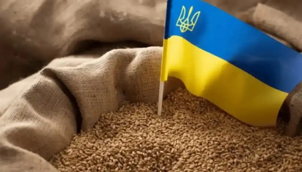 Kina planira da poveća uvoz žitarica iz Ukrajine