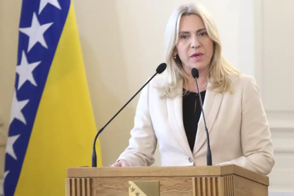 Cvijanović zatražila da se obrati onlajn na sednici Saveta bezbednosti UN o Bosni i Hercegovini