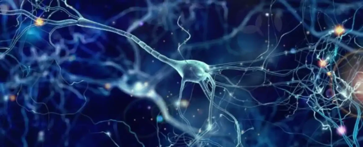 Mape proteina napravljene korišćenjem tehnologije skeniranja na cerebrospinalnoj tečnosti pronalaze markere za Alchajmerovu bolest