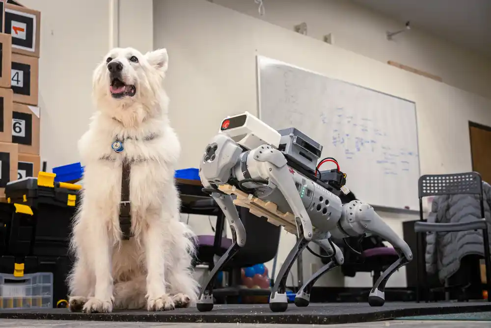 Da biste optimizovali robote za pse vodiče slušajte osobe sa oštećenim vidom, kažu naučnici