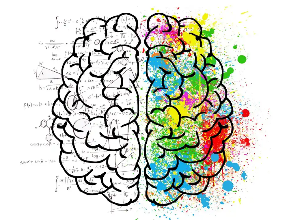 Istraživanje kako ljudski mozak skladišti i čuva informacije