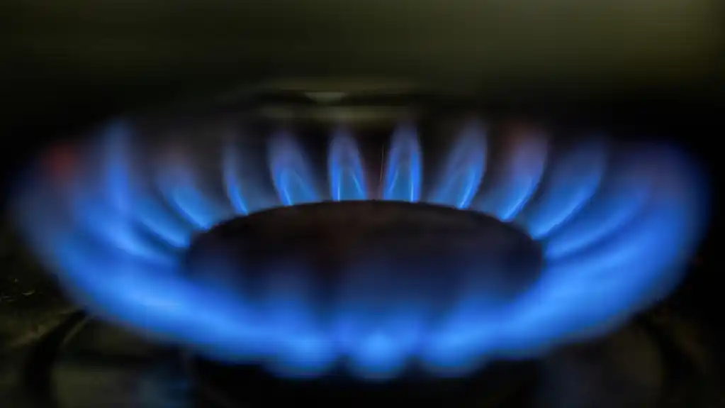 Gas za 9.000 domaćinstava