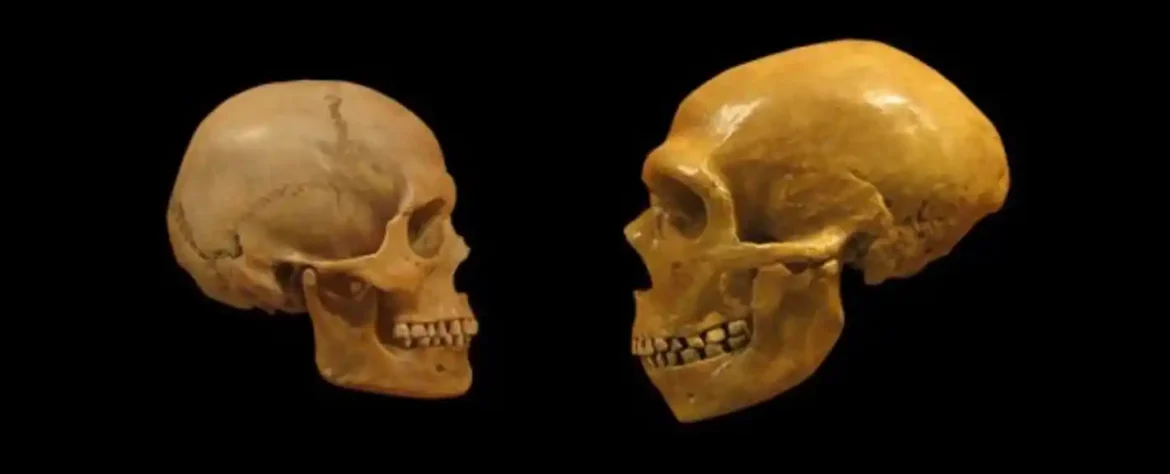 Metafore bi mogle biti tajna koja nas razlikuje od neandertalaca