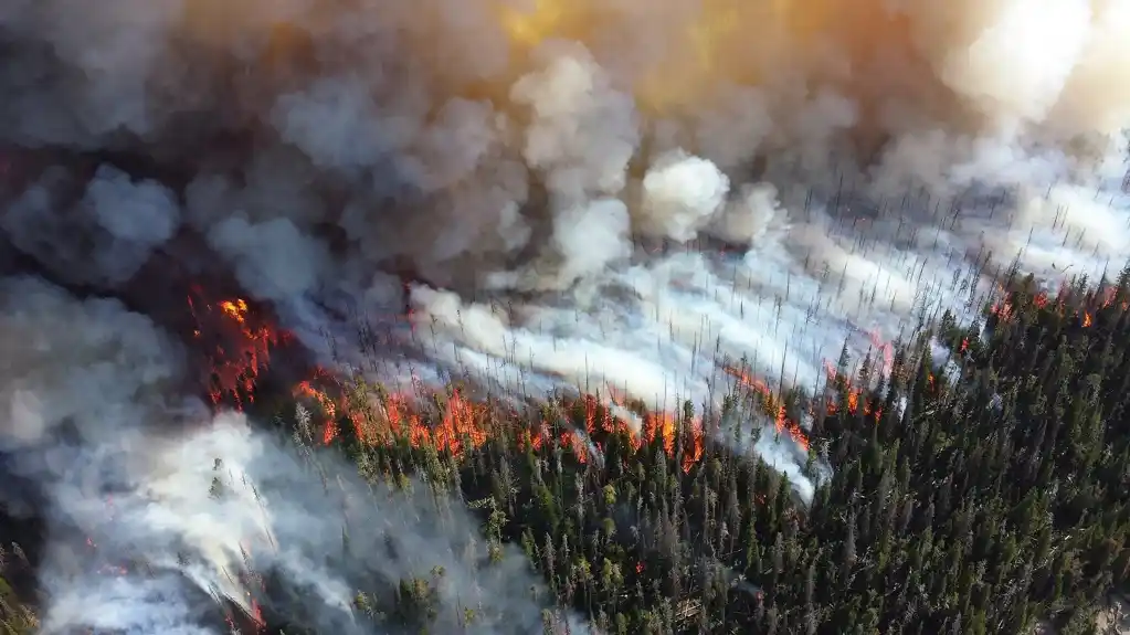 Mogu li se sateliti boriti protiv šumskih požara?