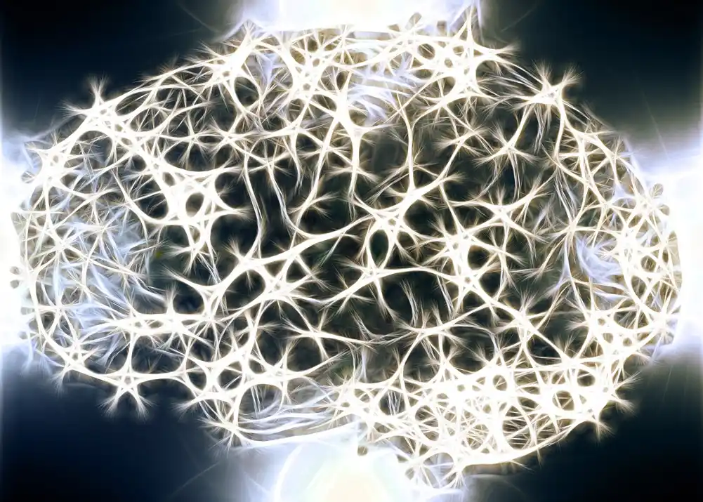 „MUZIČKA mapa“ otkriva da neke moždane ćelije brže stare i da su zastupljenije kod Alchajmerove bolesti