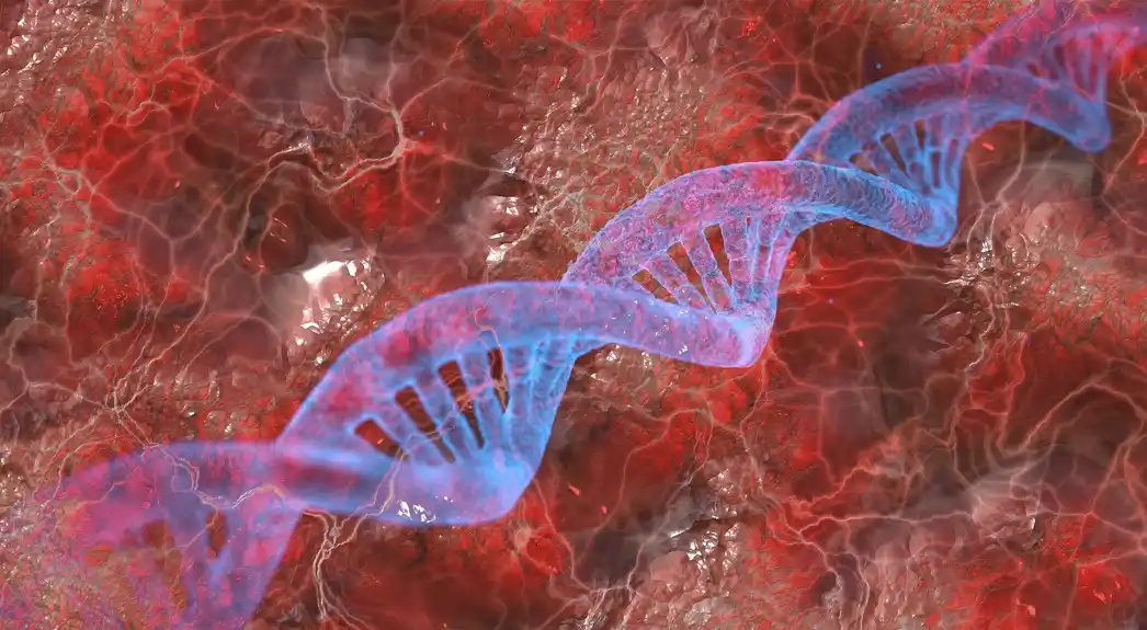 Nova studija nudi uvid u genezu spina bifide