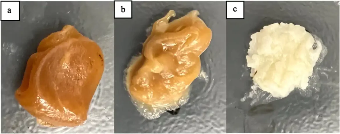 Nusproizvod sojinog biodizela mogao bi da unapredi industriju 3D štampanja