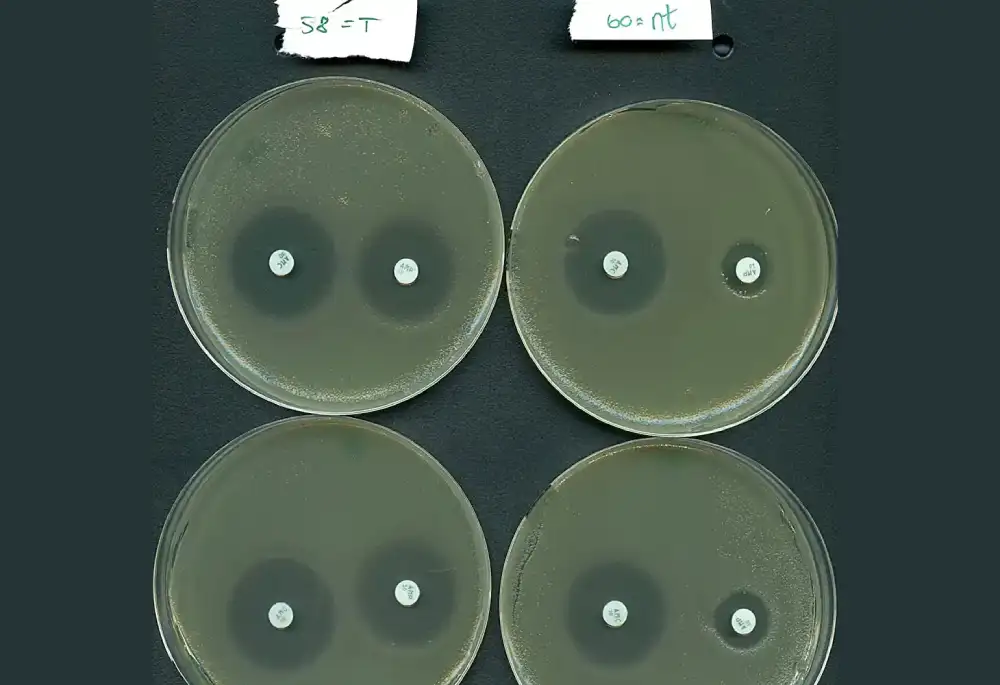 Otključana misterija CRISPR-a: Novi saveznik protiv rezistencije na antibiotike?