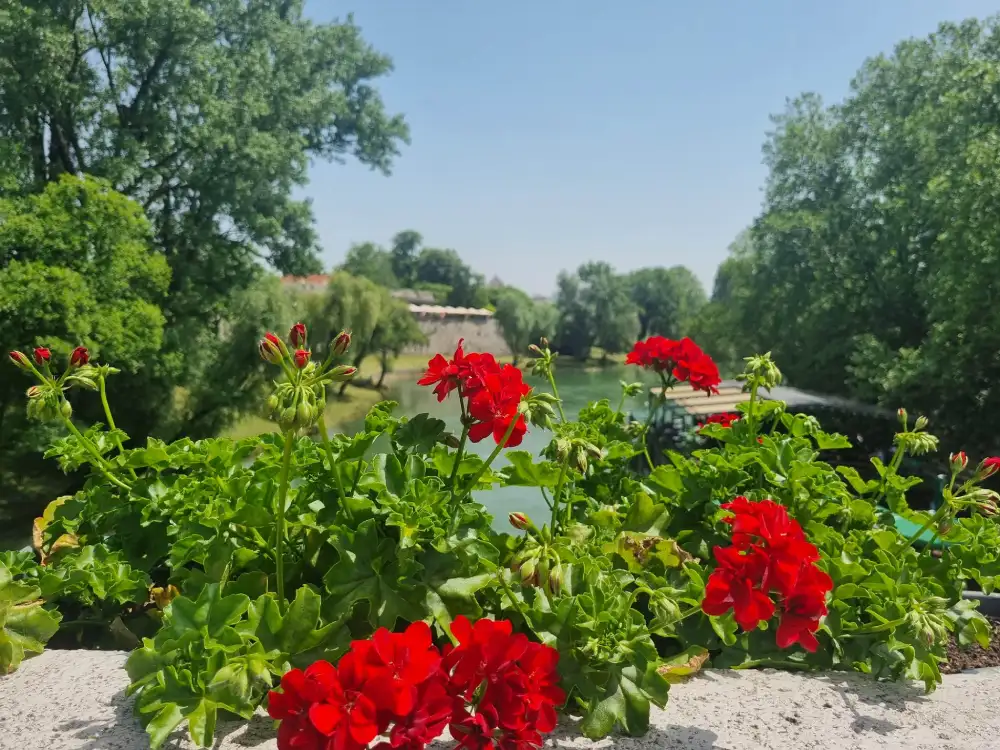 Danas pretežno sunčano i toplo, temperatura do 31 stepen