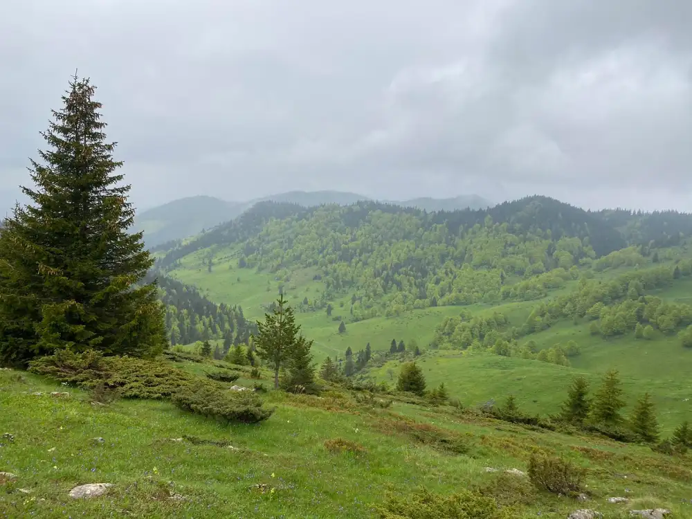 Sutra promenljivo oblačno, temperatura do 31 stepen