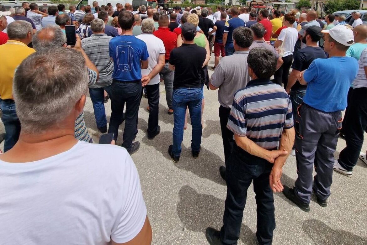 Protest malinara u Arilju, nezadovoljnih otkupnom cenom maline