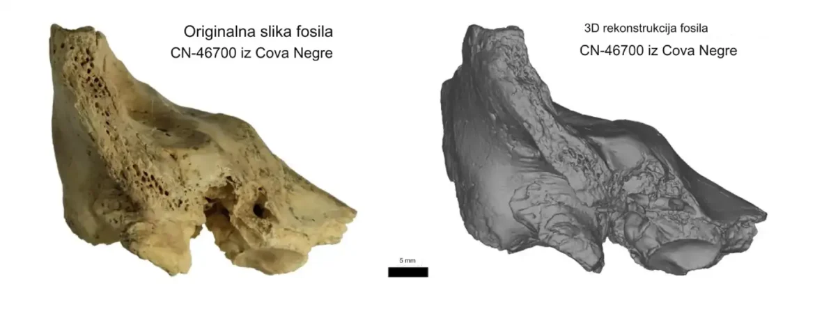 Prvi slučaj Daunovog sindroma kod neandertalaca dokumentovan u novoj studiji