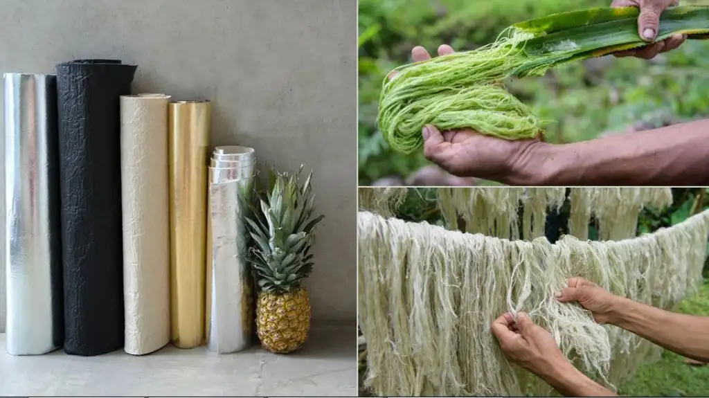 Zelena koža: Inovativna zamena na biljnoj bazi razvijena od vlakana lista ananasa i prirodne gume