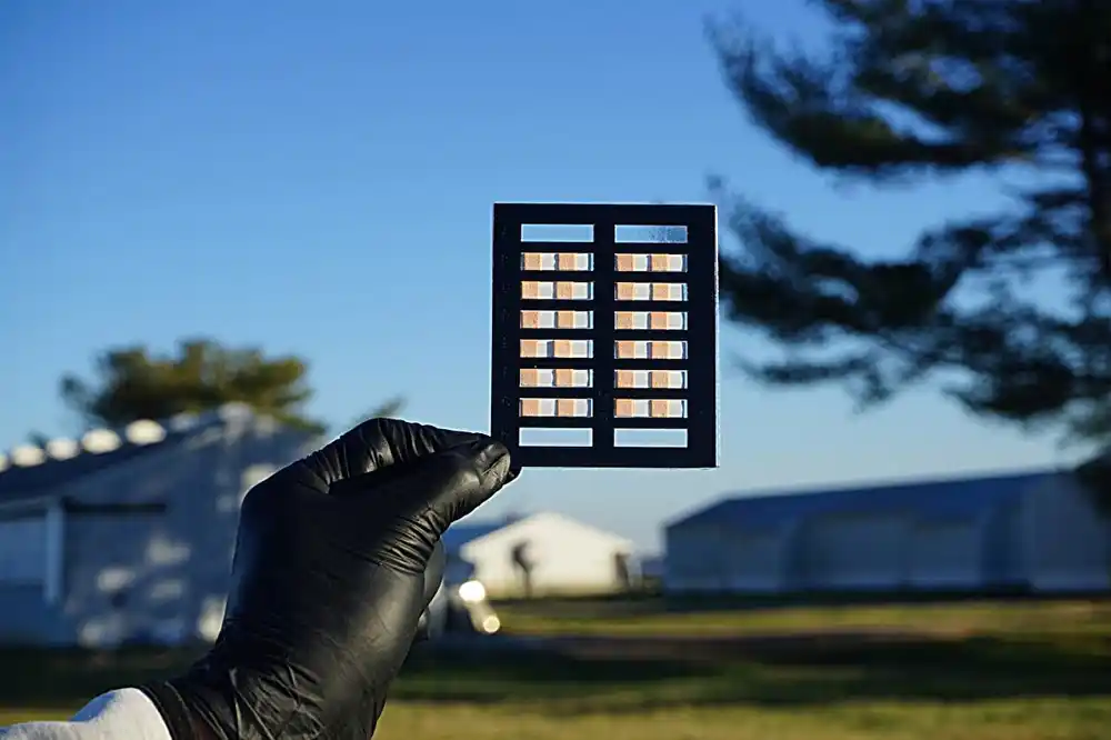 Biosenzor na bazi papira nudi brzo i lako otkrivanje fekalne kontaminacije na farmama