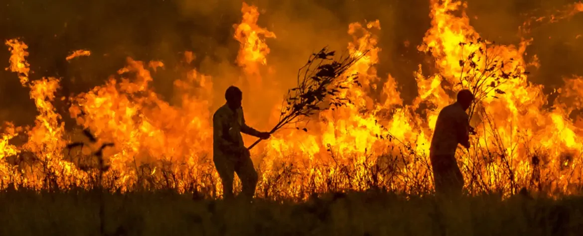 Ekstremni šumski požari su se udvostručili za samo dve decenije