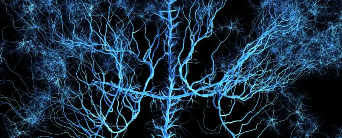 Fizičari otkrivaju fraktalne obrasce u mozgu: Složenost na ivici haosa
