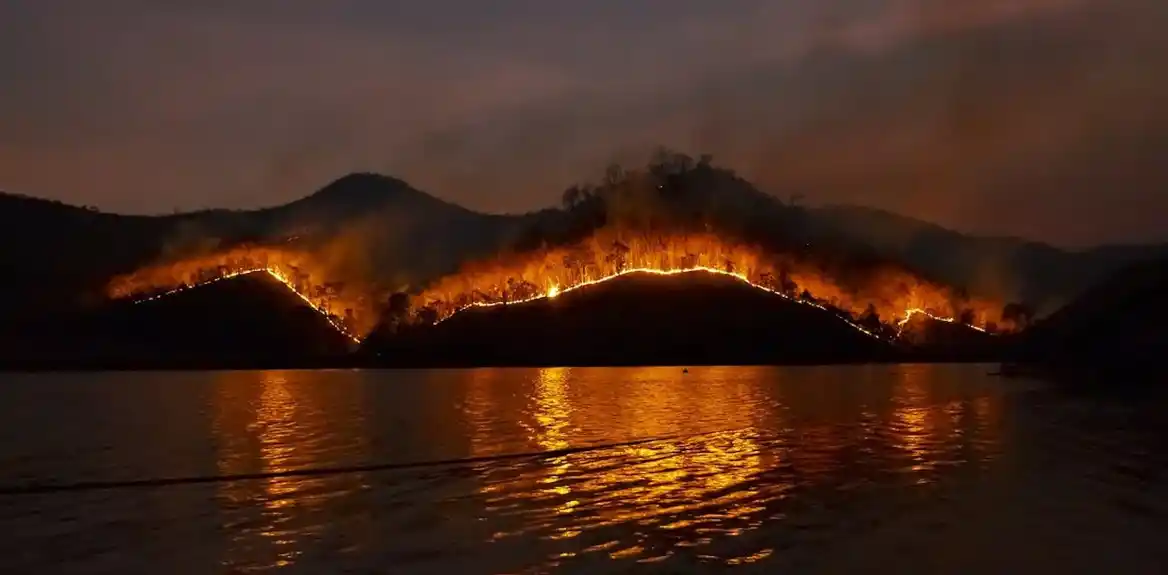 Kako šumski požari takođe utiču na jezera
