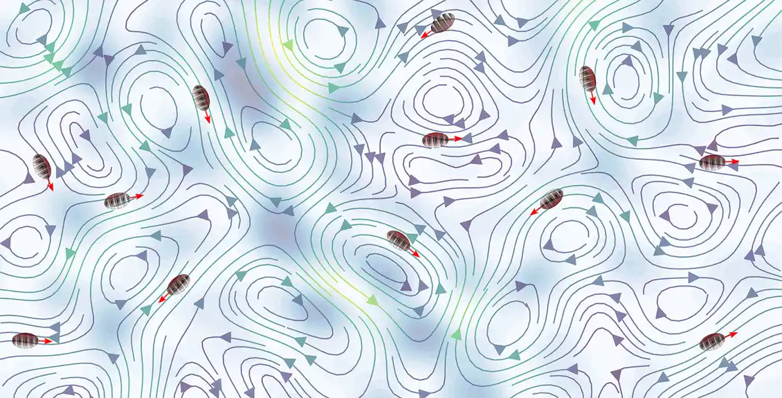 Model pokazuje kako plankton opstaje u turbulentnom svetu
