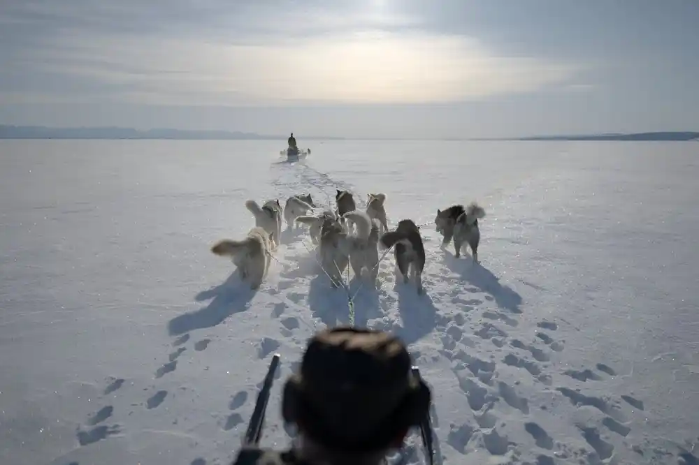Na tankom ledu: Grenlandski poslednji lovci na polarne medvede