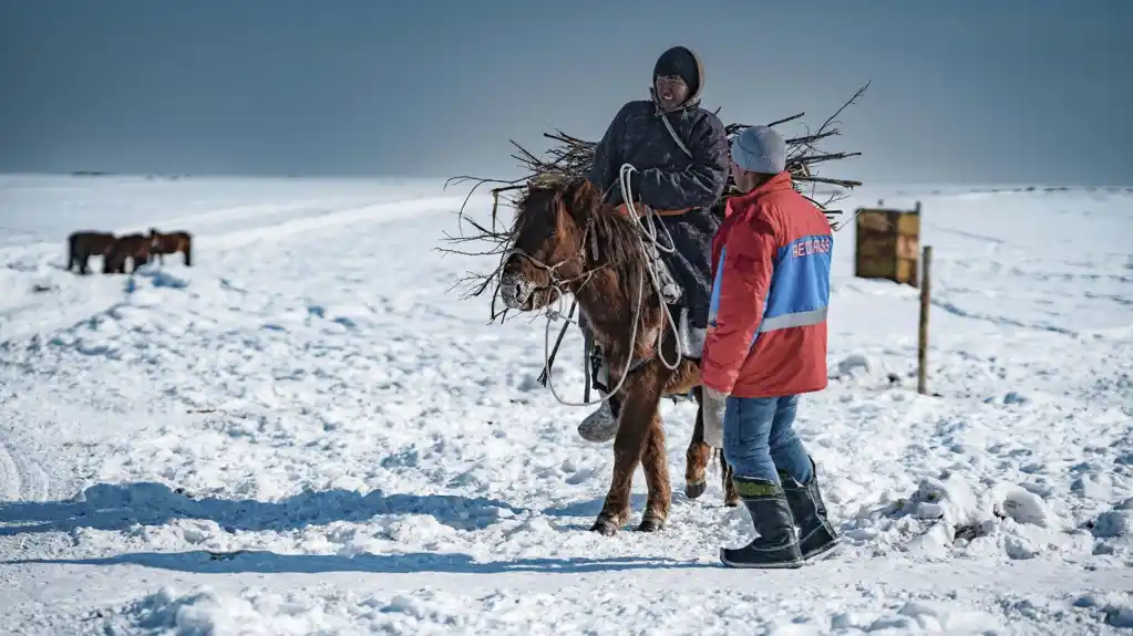 Obilni snegovi i suša ubili više od 7 miliona grla stoke u Mongoliji